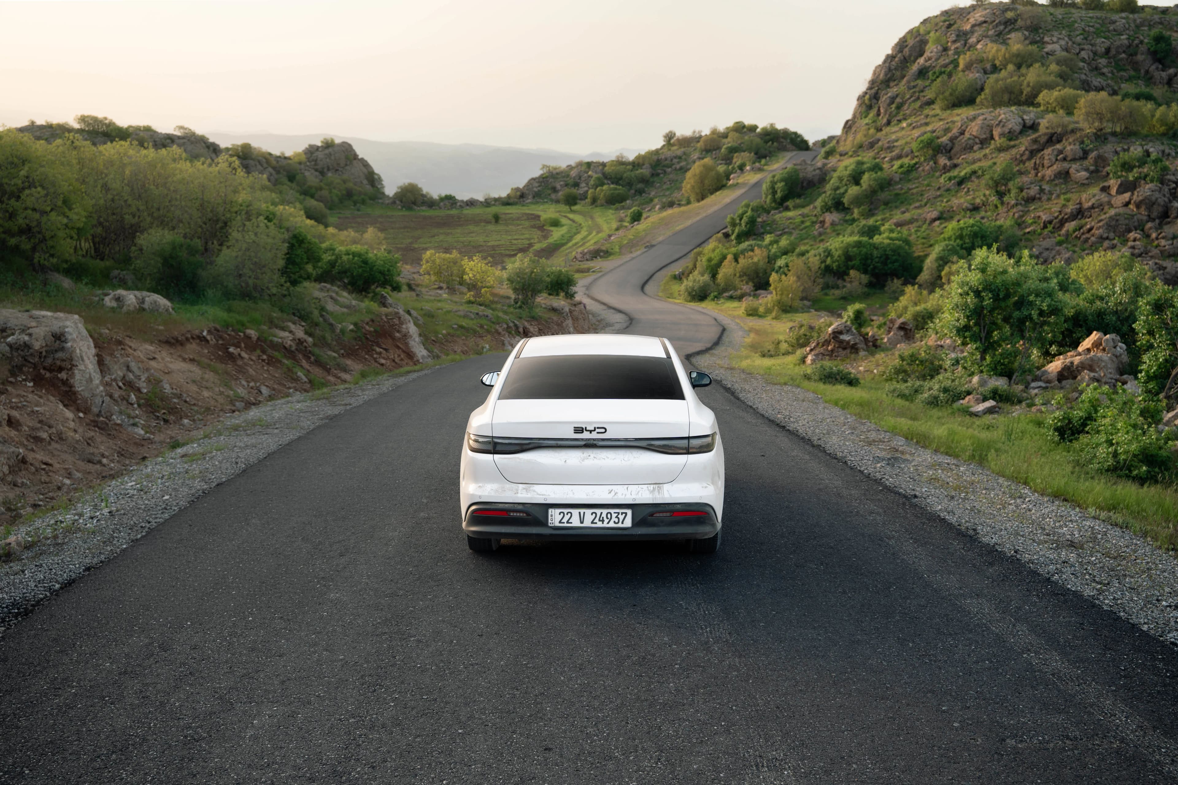 BYD, între primele 10 mărci auto preferate de români în prima jumătate a anului