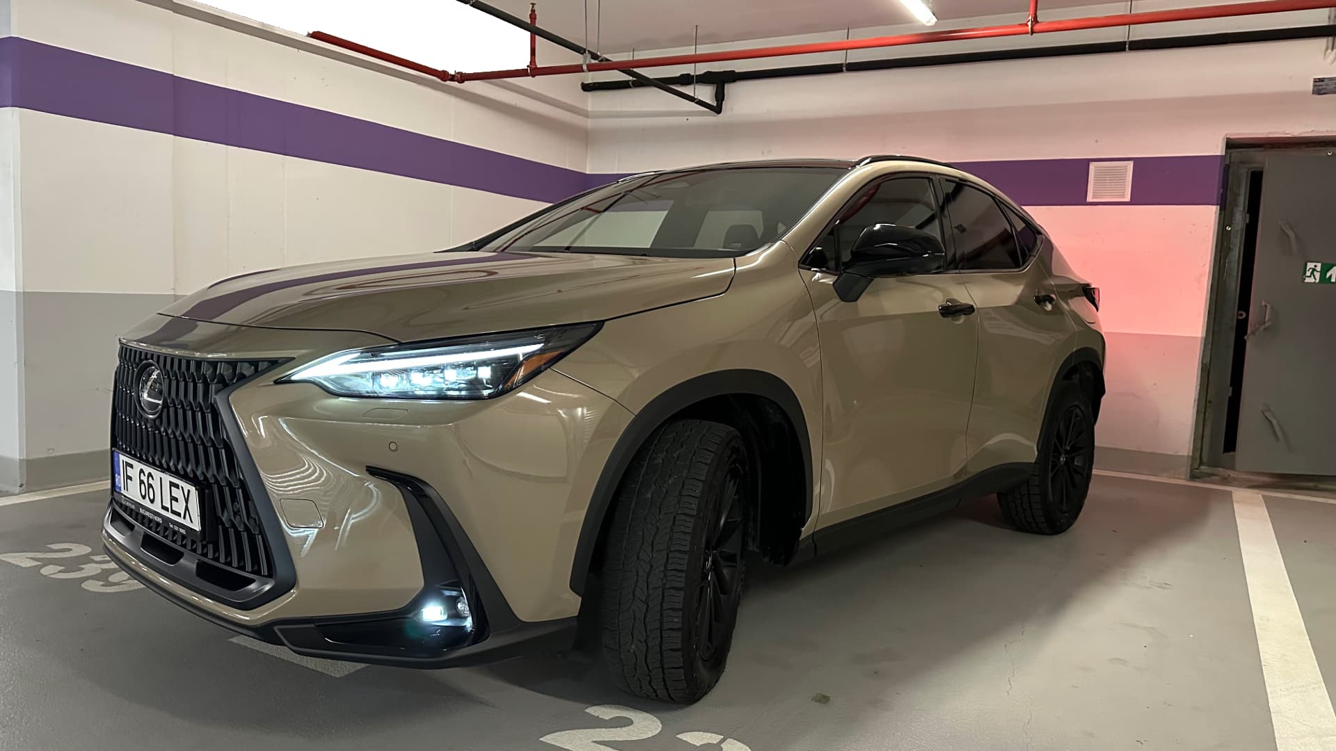 Lexus NX 350h 2024 test drive: Lexus’s best family SUV